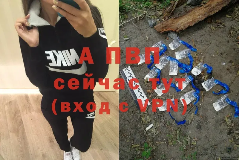 A PVP СК  Мурино 