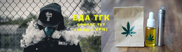 прущие грибы Надым