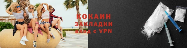 прущие грибы Надым