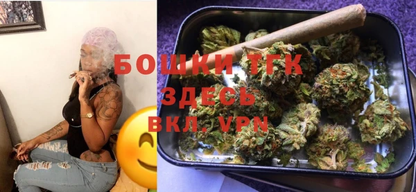 прущие грибы Надым