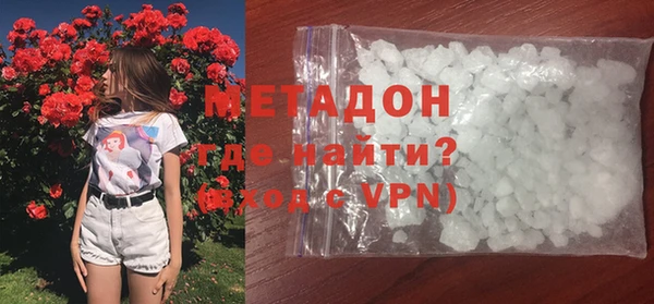 прущие грибы Надым