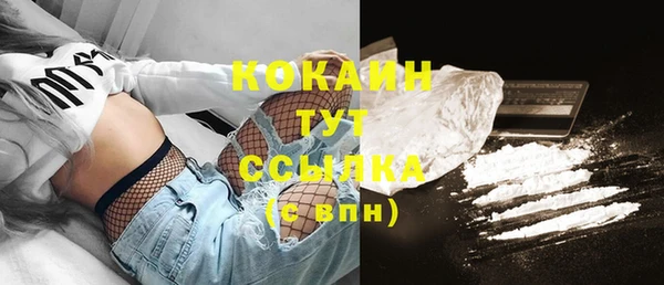 амф Болотное