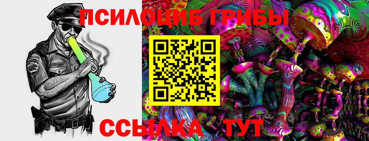 Мурино  Псилоцибиновые грибы Magic Shrooms  Вход с VPN 
