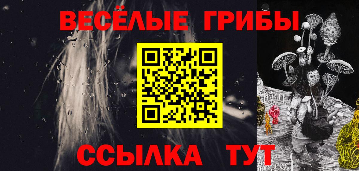 Галлюциногенные грибы Psilocybine cubensis Мурино