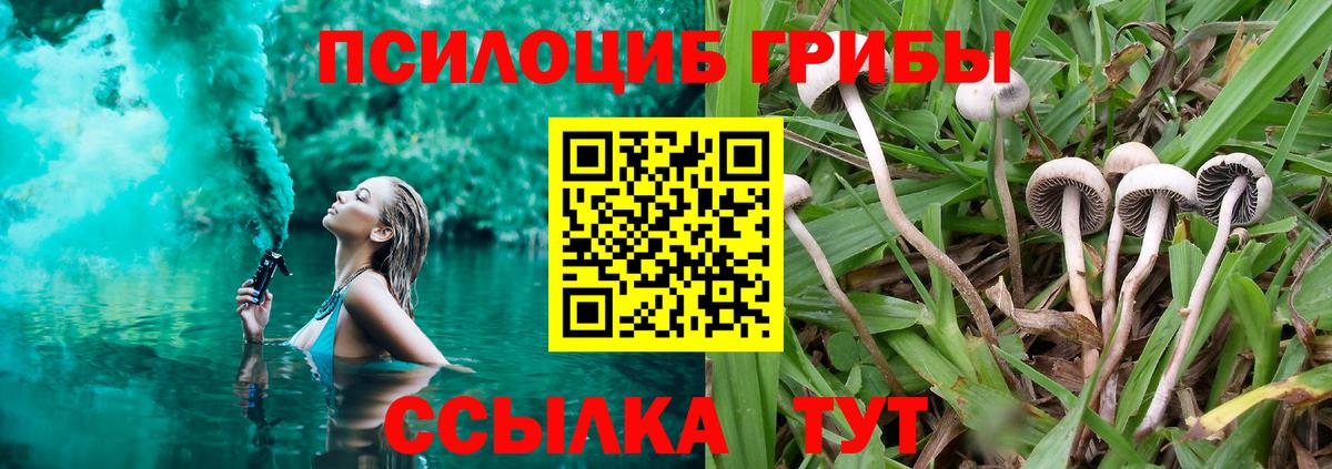 Галлюциногенные грибы прущие грибы  Мурино 