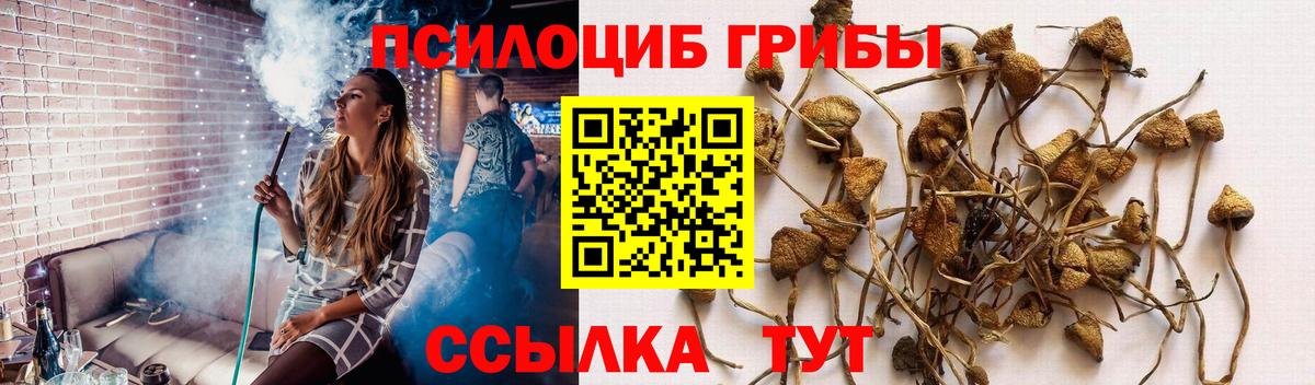 Псилоцибиновые грибы Magic Shrooms Мурино