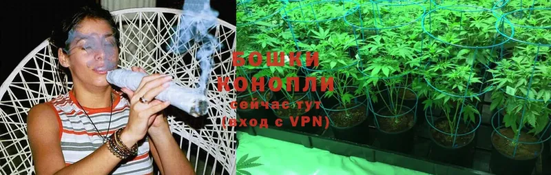 Шишки марихуана OG Kush  гидра ссылка  Мурино 