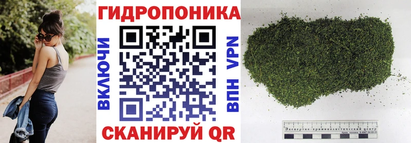 купить наркотики сайты ОМГ ОМГ онион даркнет как зайти Мурино Бошки марихуана конопля